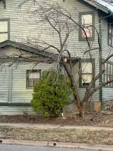 Bare branches frame a timeless home.
